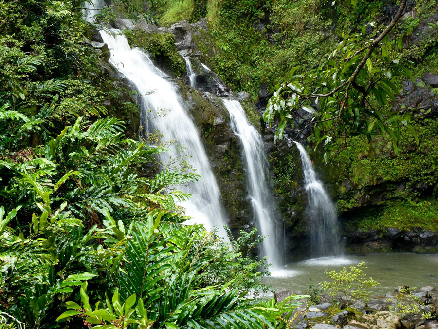kauai, waterfall, jungle